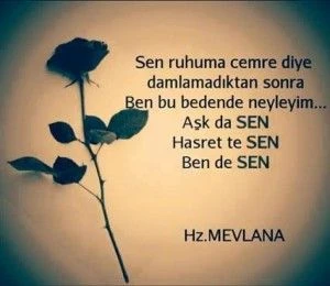 mevlana celaleddını rumının anlamli sozlerı ask hasret sevgı dın (7)